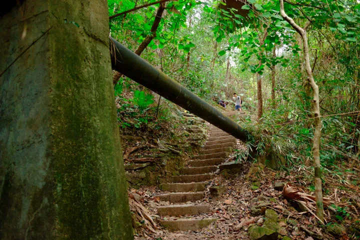 Wan Chai Gap to Wong Nai Chung Road Hike